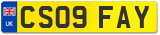 CS09 FAY