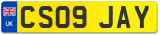 CS09 JAY