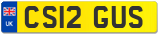 CS12 GUS