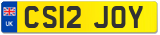 CS12 JOY