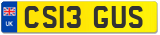 CS13 GUS