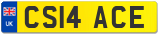 CS14 ACE