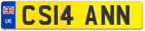 CS14 ANN