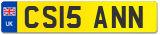 CS15 ANN