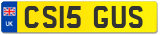 CS15 GUS