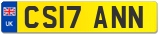 CS17 ANN