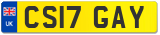 CS17 GAY