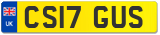 CS17 GUS