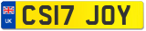 CS17 JOY