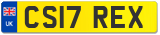 CS17 REX