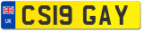 CS19 GAY