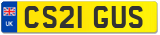 CS21 GUS