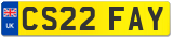 CS22 FAY