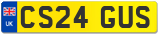 CS24 GUS