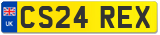 CS24 REX