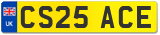 CS25 ACE