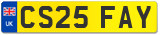 CS25 FAY