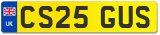 CS25 GUS