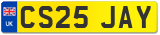 CS25 JAY