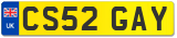 CS52 GAY