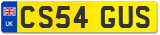 CS54 GUS