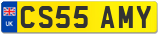 CS55 AMY