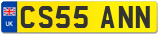 CS55 ANN