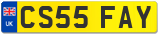 CS55 FAY