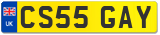 CS55 GAY