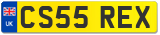 CS55 REX