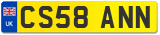 CS58 ANN