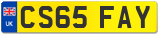 CS65 FAY