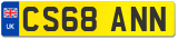 CS68 ANN