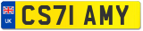 CS71 AMY