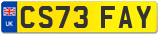 CS73 FAY