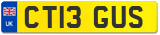 CT13 GUS