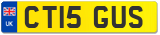 CT15 GUS