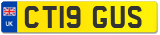 CT19 GUS