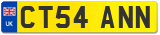 CT54 ANN