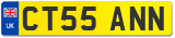 CT55 ANN