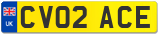 CV02 ACE