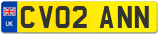 CV02 ANN