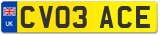CV03 ACE