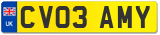 CV03 AMY