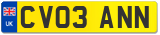 CV03 ANN