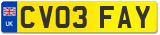 CV03 FAY