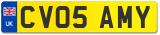 CV05 AMY