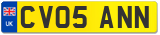 CV05 ANN