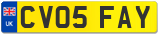 CV05 FAY