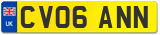 CV06 ANN